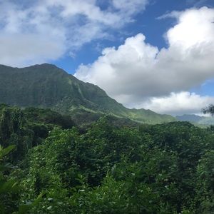 Meet your Posher, Benjamin